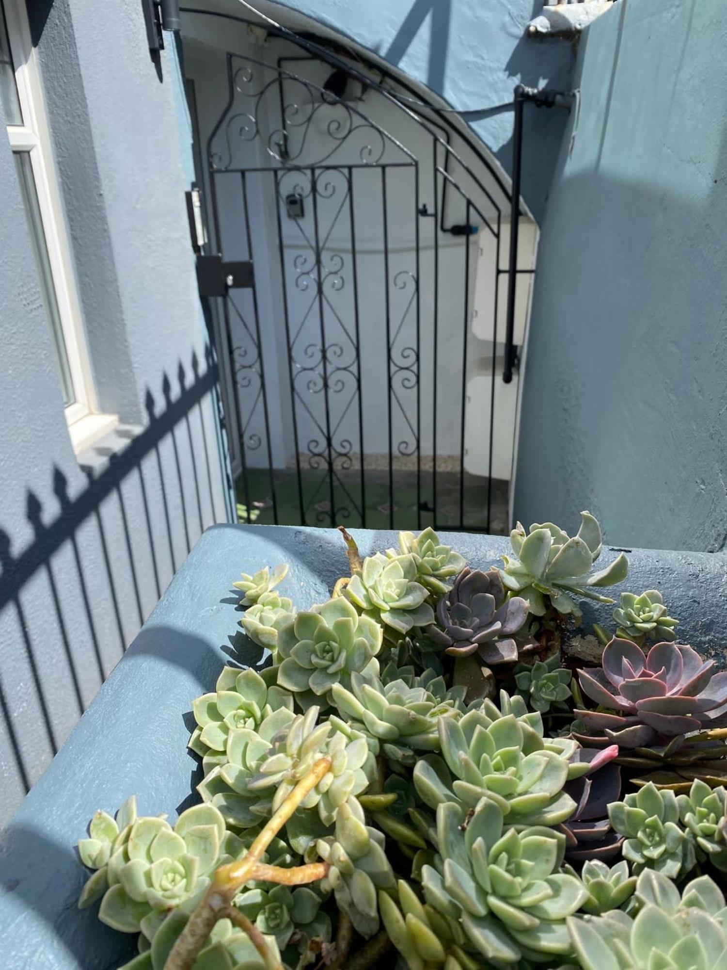 Kemptown Courtyard Apartment Brighton Bagian luar foto